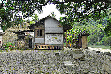 狂野欧美｜狂野视听盛宴，欧美文化魅力无限绽放-2