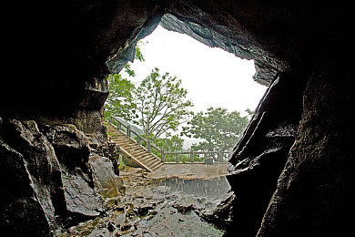 蜜芽网站域名｜蜜芽新域，母婴购物新体验，品牌升级大不同-1