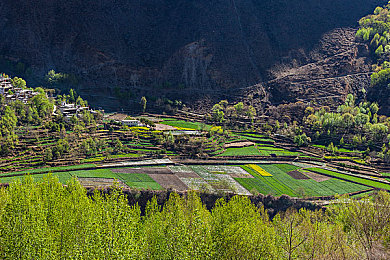 男女搞鸡网站｜网络净化行动：揭秘“男女搞鸡”网站，共筑清朗网络空间-3