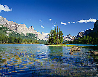 王丽被黑人玩的嗷嗷叫|网络热语新解:“王丽被黑人玩的嗷嗷叫”趣味传播攻略-2