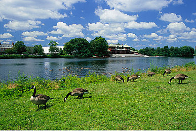 一个好妈妈8个字光头强|母爱之光:勇敢坚强,成长之旅-2