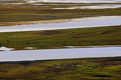 美女裸身app|揭秘:美女裸身app引发热议,探索视觉艺术边界与道德界限-1