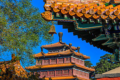 男女扑克又疼又叫的游戏｜“又疼又叫”的“男女扑克”游戏走红，年轻人社交新宠引发社会关注-3