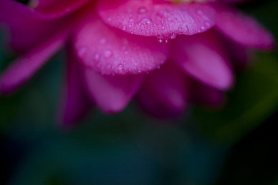 yw＊请牢记此域名防止失联｜数字守护者：域名防线，网络安全之旅