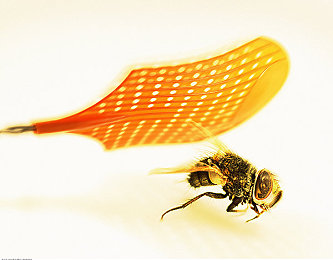 苹果直播｜苹果直播横空出世，引领直播新潮流，技术革新重塑用户体验-2