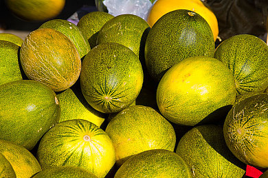 织田NON漫画作品全彩|织田NON漫画世界:全彩冒险之旅,沉浸式视觉盛宴-1