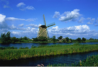 黄色软件2024｜2024年“黄色软件”监管升级：护航青少年成长，净化网络环境，挑战与应对并重-1