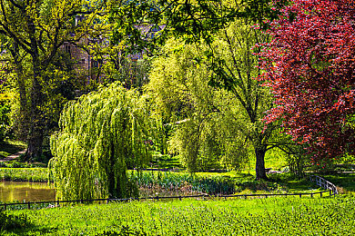 女校花趴老师腿间打嫩嫩的屁股｜校园温馨互动：校花与师的深情瞬间-1