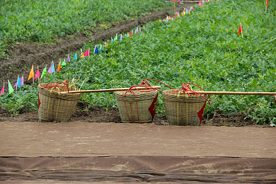 机对机的应用大全下载2023|2023年M2M技术革新:热门应用大盘点,便捷生活新体验,安全隐私不容忽视-2