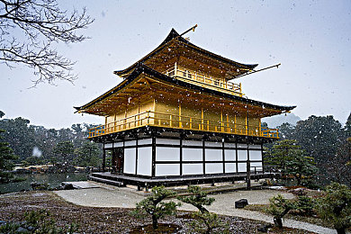 老虎直播｜畅享互动，老虎直播，开启游戏新境界-2