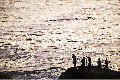 吃瓜有理,爆料无罪,稀有视频｜真相探秘：稀有视频，知情权守护者-2