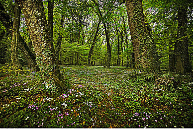 欧美体内 精ggggg｜揭秘欧美身心秘境，解锁品质生活新篇章-3