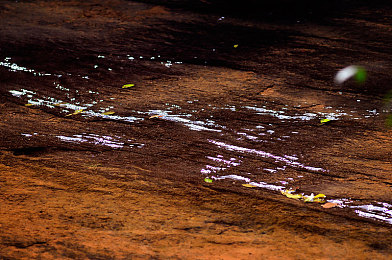 少妇和按摩师按摩呻吟｜按摩店内不雅事件引发热议：道德伦理问题拷问社会和谐