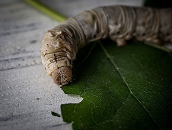 爱情电影网aqdybp社保片|浪漫时光:经典爱情电影网,感受心跳共鸣之旅-2
