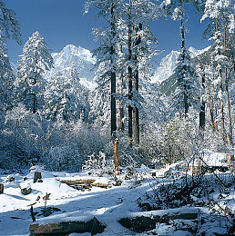 3p故事｜网络直播隐私危机与盈利争议：揭秘行业困境与监管挑战-1