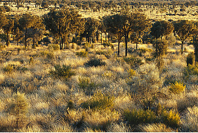 久久6热｜畅游奇幻世界，勇闯“久久6热”冒险之旅-2