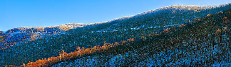 顶级西方大但人文艺术|《文明VI》穿越时空:人文艺术与历史文明的交融之旅-3