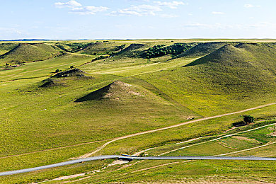 ＜玛露和园丁＞｜信息速递利器，XX助你效率翻倍新篇章-3