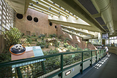 黄色直播软件3.0.3｜网络直播乱象警示：道德伦理与网络安全待重塑-1