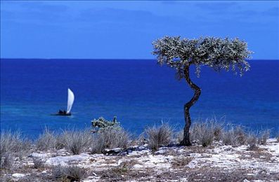 爽 躁多水 快 深点小软件｜科技助力生活：手机小软件的多面影响与合理使用之道-2