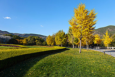 99视频精品｜短视频新纪元：99视频精品引领内容革命-1