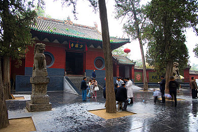 路人娘牧场｜都市田园牧歌，绿色生活新体验-3