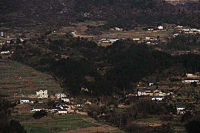 末发育性XXⅩDH1｜神秘末发育探秘：揭示XXDH1奥秘之旅