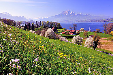 丁香五月婷婷久久｜网络文化争议引发反思与教育重建