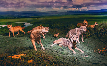 麻花传mv视频播放器使用方法｜《麻花传》MV播放器上线，高清流畅体验助动画电影升温-1