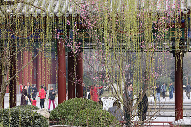 榨汁精灵的繁衍要求雷火剑｜“神秘榨汁精灵繁衍之谜：雷火剑揭示自然法则与奇幻力量结合之谜”