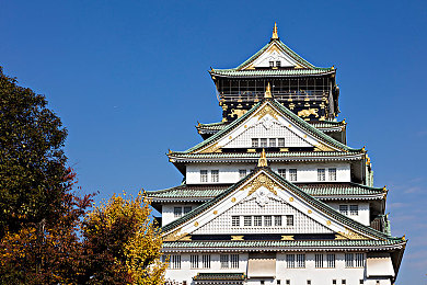 瑞典农场的4个女儿 1979|奇迹农场:传承爱与智慧,助力未来梦想-2