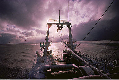 B站刺激战场视频直播｜电竞战场魅力绽放，B站刺激直播盛宴-2