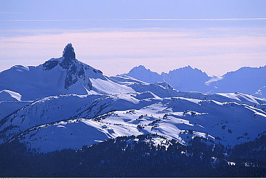 黄色成人版｜网络色情泛滥成灾，“黄色成人版”现象引发社会关注，亟需加强监管与自律-1