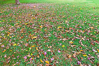 free欧美性|自由欧陆之旅,探索个性解放的无限可能-3