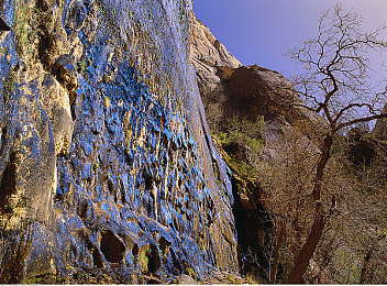 按摩师玩弄贵妇｜贵妇按摩门事件：行业规范拷问，社会道德反思-1