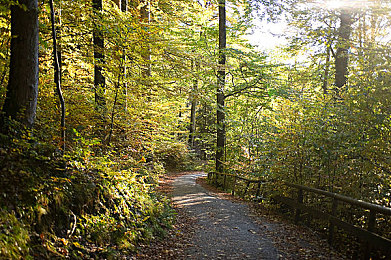 东北小伙GAy无套GayGay｜东北魅力无套GAy，率真幽默闯江湖