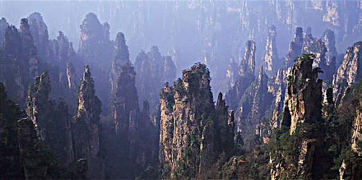 向日葵色板app|色彩无限,创作乐园:向日葵色板绘画之旅-1