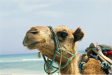 99热6这里只有精品｜精品汇聚，智慧闪耀：探索“99热6”的精彩世界-2