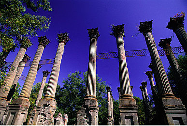 七八个变态用毛笔戳我尿孔｜“毛笔戳尿孔暴力事件引发关注：警方全力追捕，受害者心理康复引担忧”-2