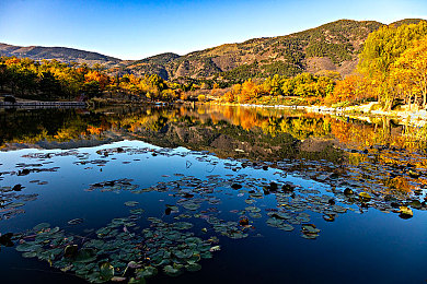 白丝女仆被主人捆绑调教｜女仆束缚阴影下：法律道德拷问社会安全之问-3