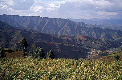 男同Gay男生自慰｜男同性恋者的秘密探索与心理之旅-1