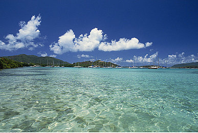 又疼又叫直播软件下载安装｜“轻松下载，互动无限，短视频直播新体验，‘又疼又叫’引领潮流”