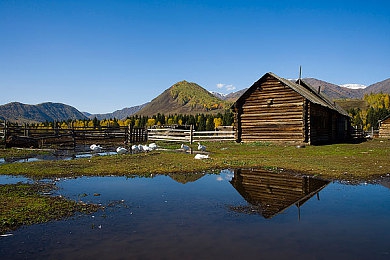 国产精品秘 入口牛牛｜创新风味引领潮流，国产零食“入口牛牛”走红市场-2
