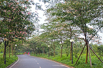 爱做直播APP｜直播新势力，＂爱做直播APP＂引领行业变革之路-2