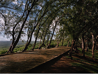 YY55TV夜月直播怎么申请｜直播新时代来临，抢占舞台成新风潮-2