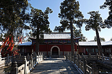 99re6久热只有精品6在线直播｜揭秘＂99re6＂直播平台：独家内容与技术领先，引领网络直播新潮流-2