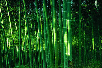 汤不热vlog破解版免费版|破解版免费应用激战汤不热:用户权益与平台规则冲突引发热议-1