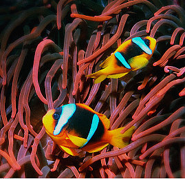 男生女生一起搓搓搓｜欢乐搓搓搓，友谊共放松