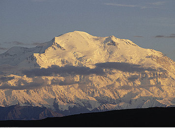 比比东和唐三不亦乐乎MBA网站｜传奇CEO与青年才俊共启MBA之旅：揭秘“比比东和唐三不亦乐乎”网站魅力-1