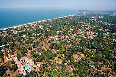 00粉嫩馒头学生一线天 品种｜“00粉嫩馒头，引领食界新潮流，创新工艺打造网红美食”-1